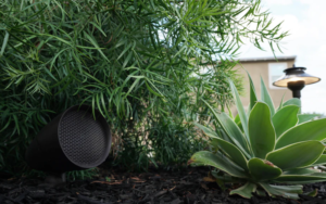 Outdoor audio Sonance speakers in the landscaping